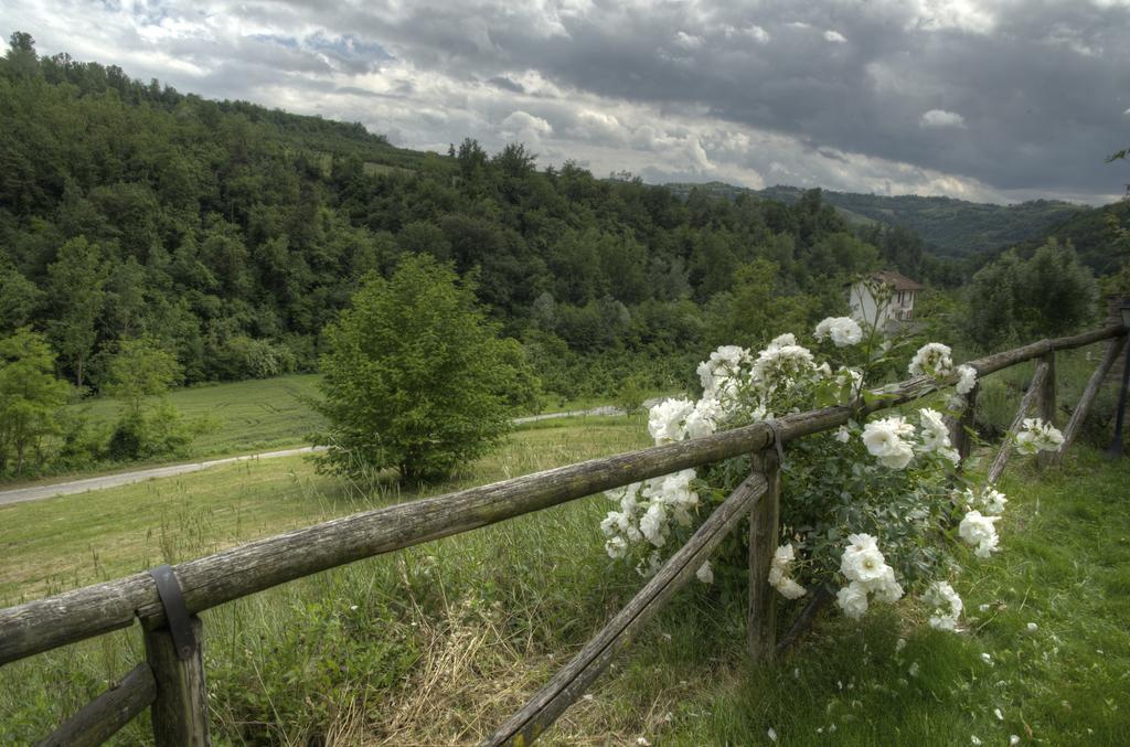 B&B Il Sole Delle Rive Sinio Zewnętrze zdjęcie